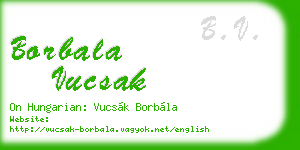 borbala vucsak business card